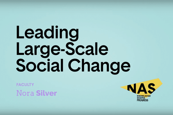 Leading Large-Scale Social Change